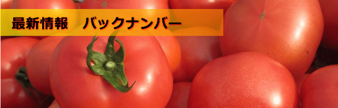 最新情報 バックナンバー